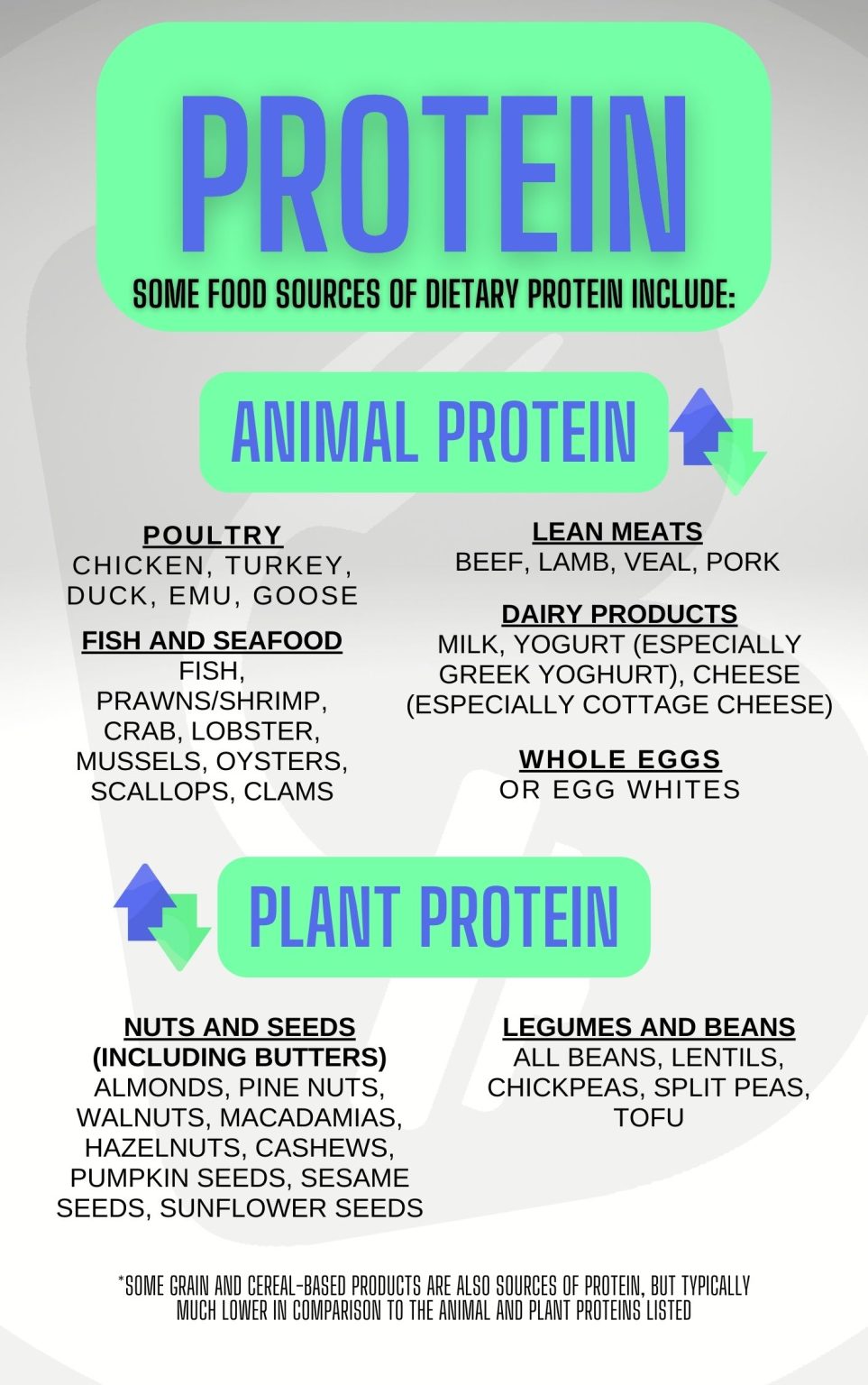 Why You Should Eat More Protein - Bent On Better
